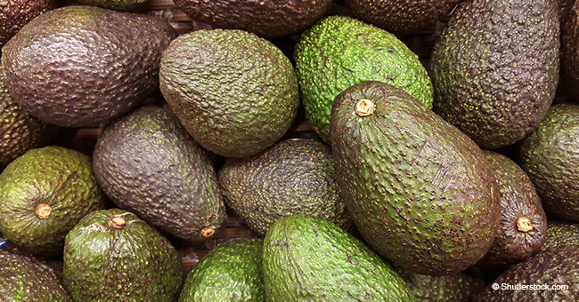 California Company Recalls Avocados Due to Fear of Possible Listeria