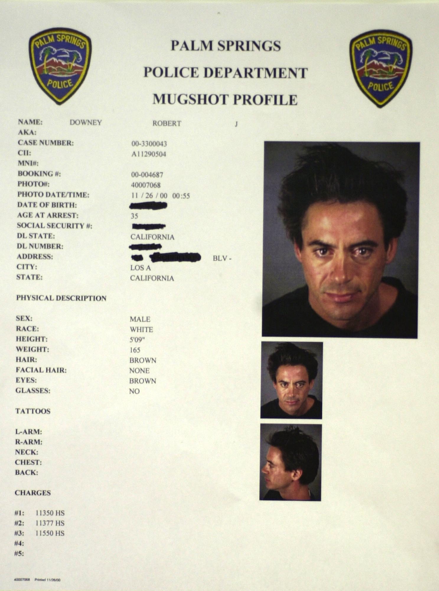 Robert Downey Jr.'s mugshot profile on November 25, 2000, after he was arrested at the Merv Griffin Resort in Palm Springs, California for drug possesion | Source: Getty Images