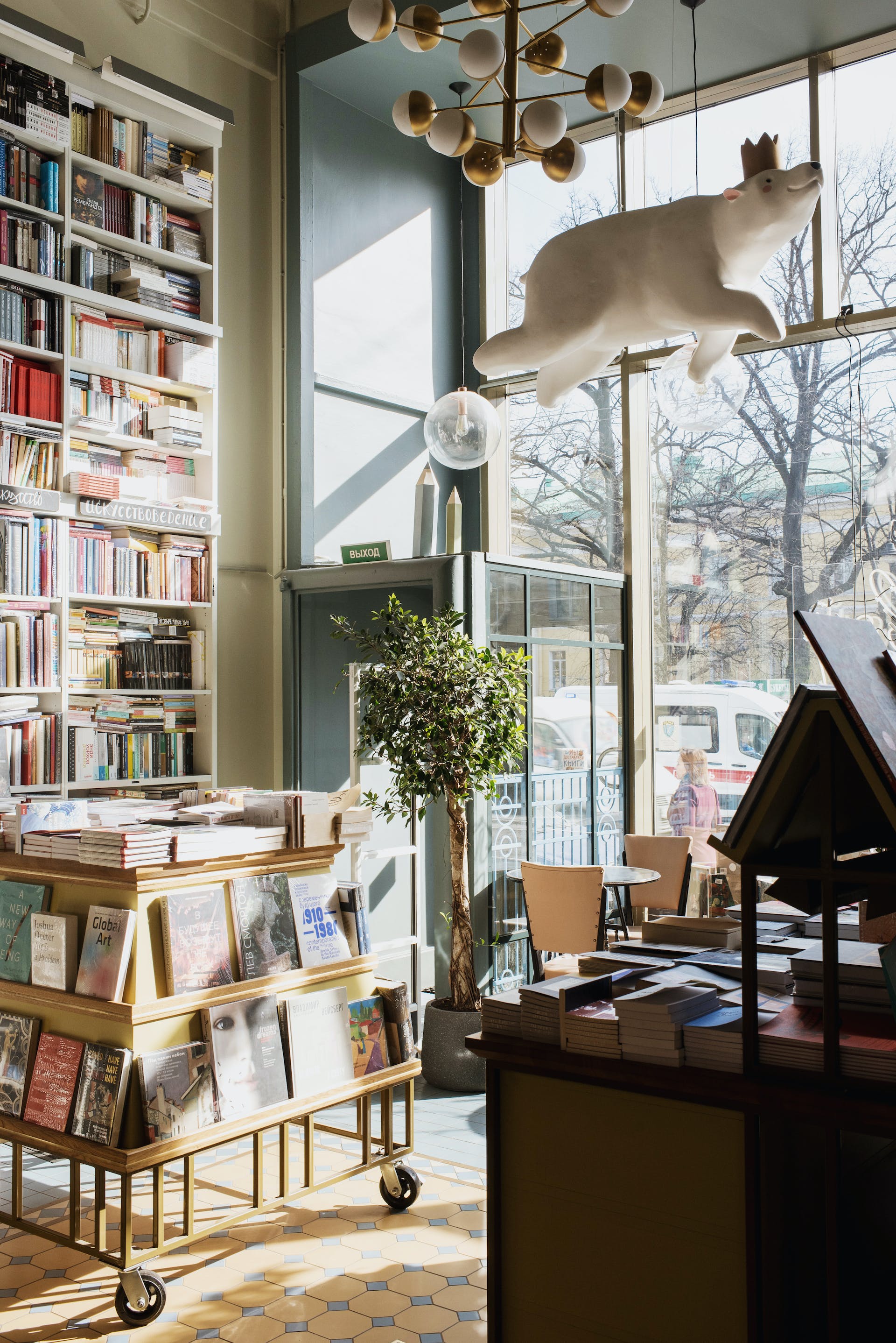 A bookstore | Source: Pexels