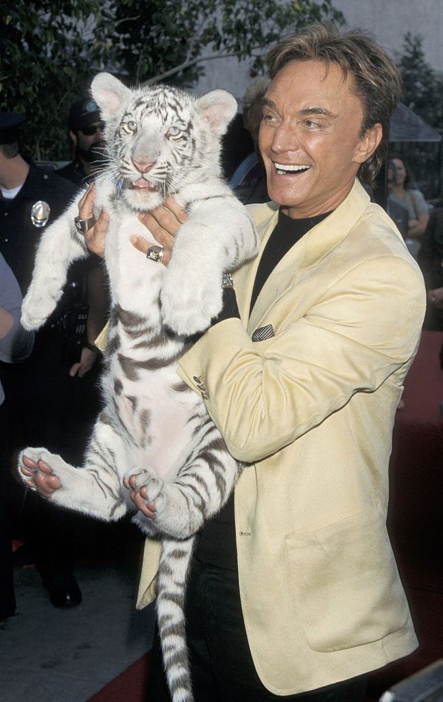Roy Horn of Siegfried & Roy holding a tiger cub while being honored with a Star on the Hollywood Walk of Fame at Hollywood Boulevard in Hollywood, California | Photo: Ron Galella/Ron Galella Collection via Getty Images