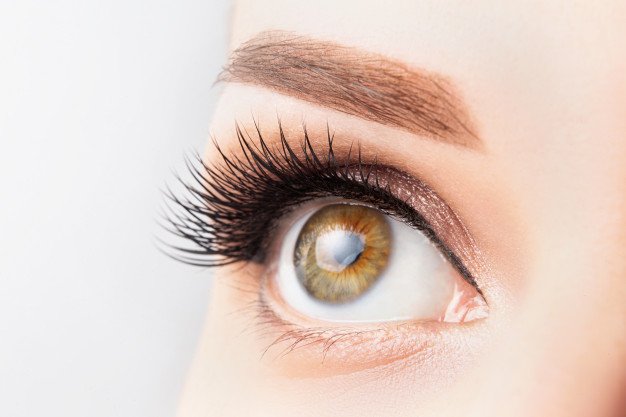 Ojo maquillado de mujer. │Foto: Freepik Ojo maquillado de mujer. │Foto: Freepik