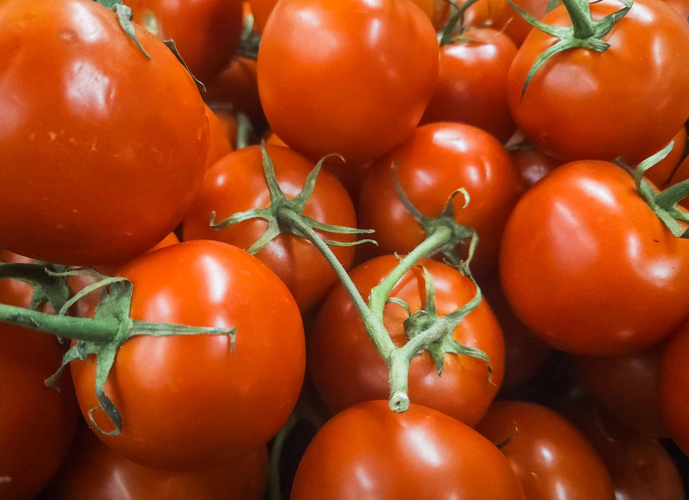 A close-up view of fresh organic tomatoes displayed in a chain store in Edmonton, Alberta, Canada, on March 29, 2025 | Source: Getty Images