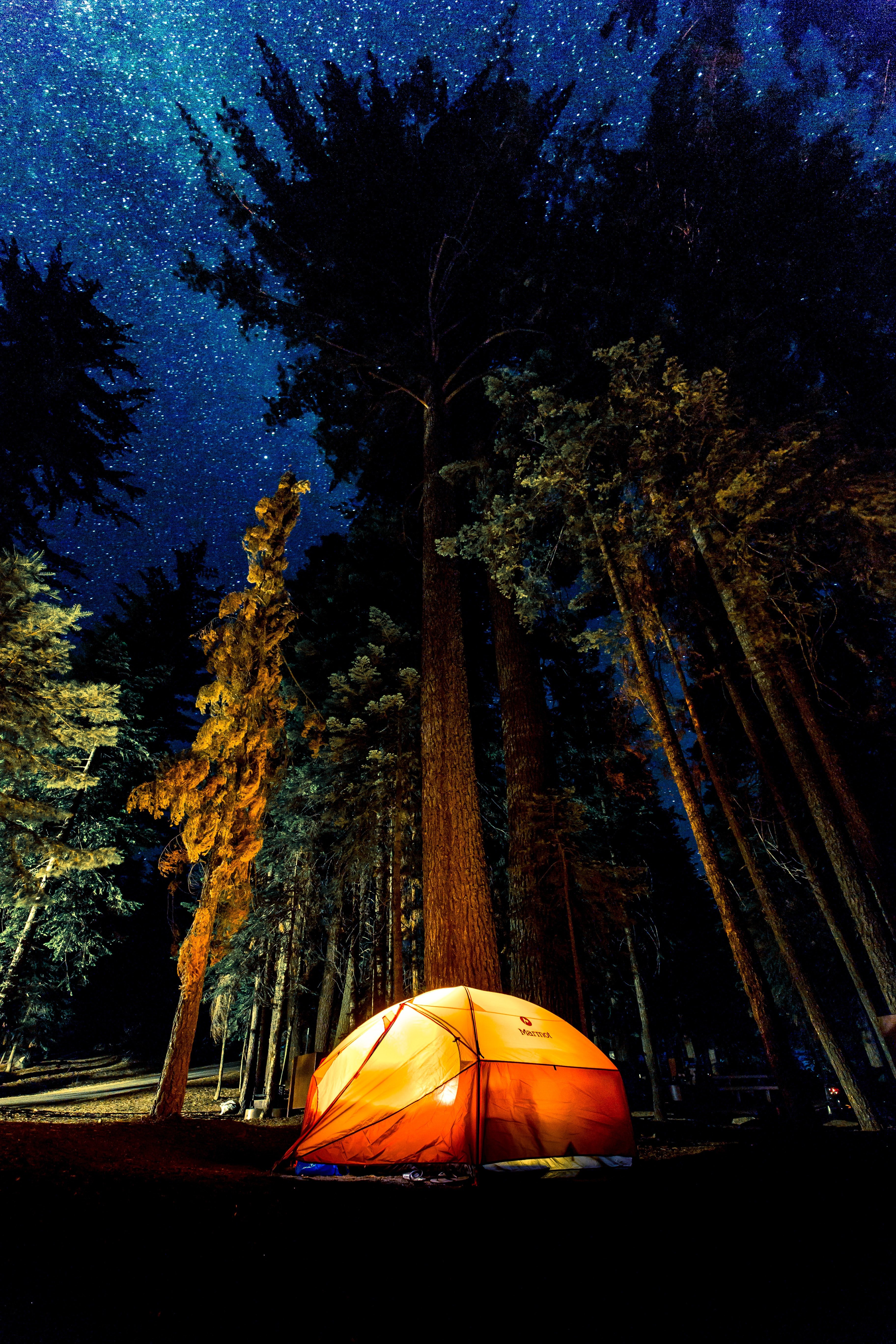 A lit tent in the forest. | Source: Unsplash