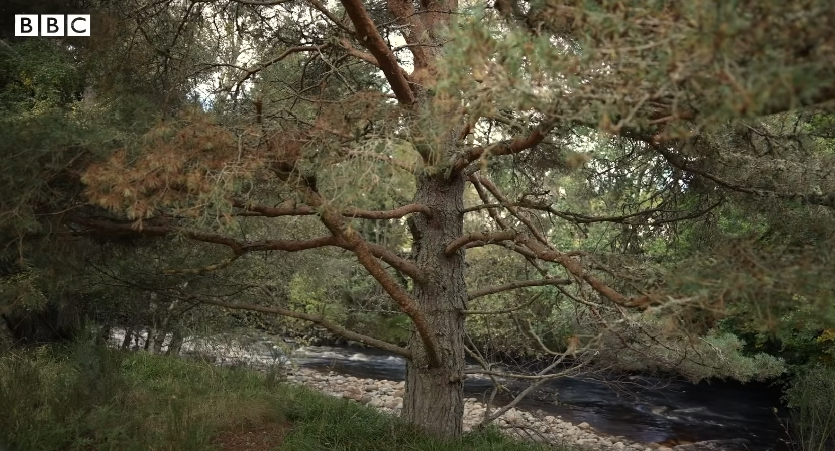 The River Muick in Balmoral Estate, dated 2022 | Source: YouTube/BBC News
