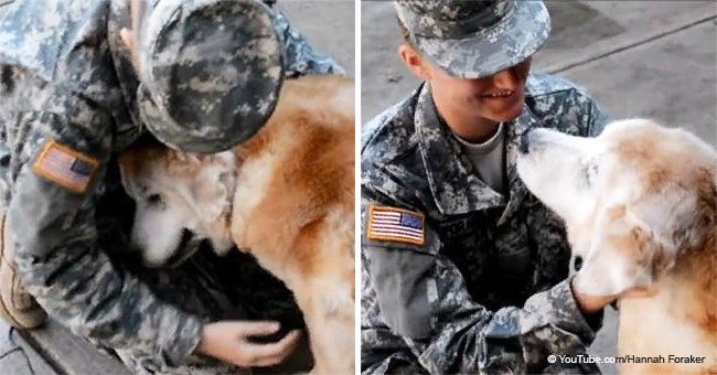 Elderly dog has emotional meltdown seeing soldier owner after 3 months