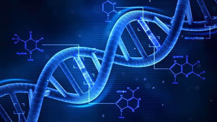 ADN | Foto: Wikimedia