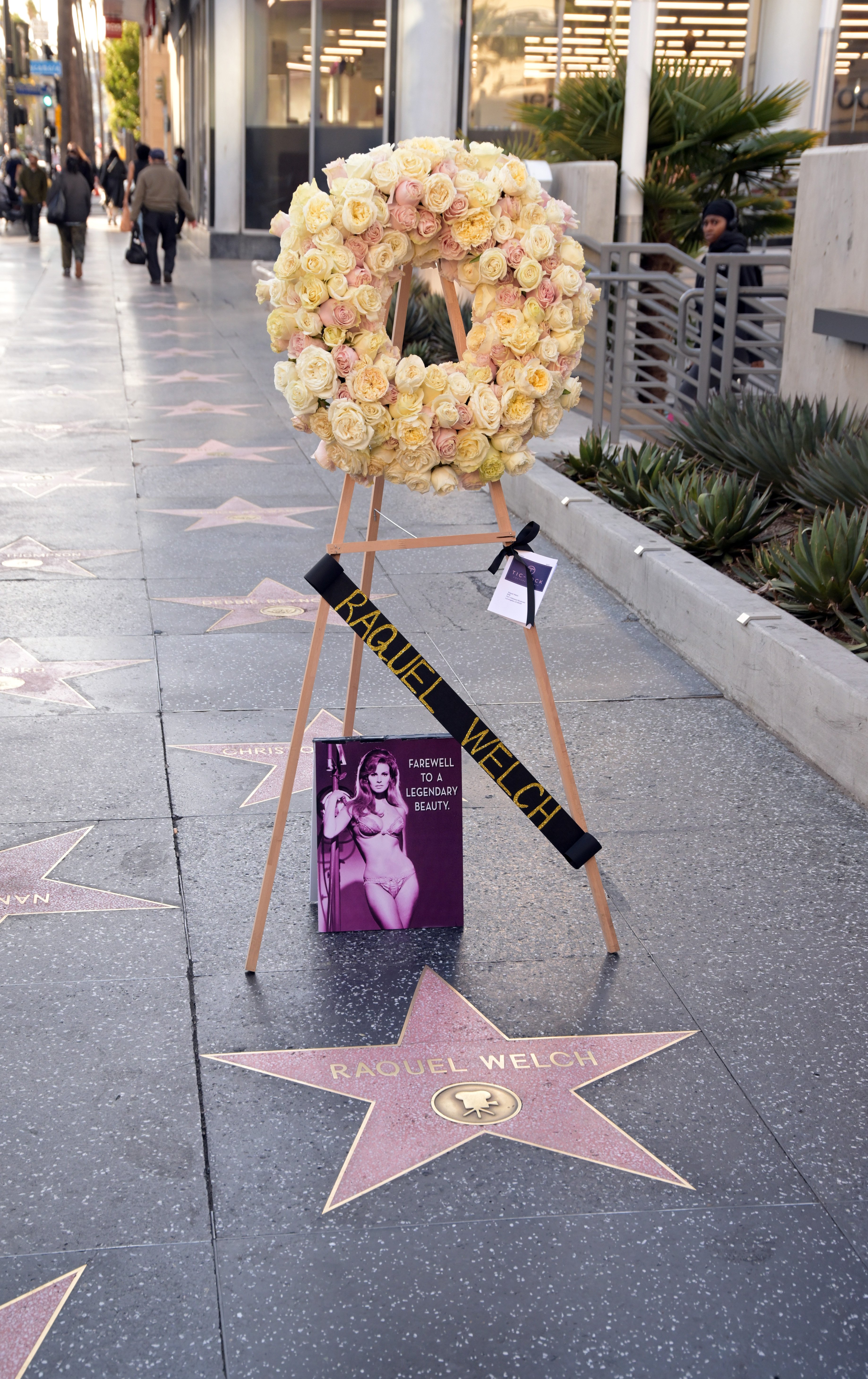 A floral wreath is seen placed at the star of the late Raquel Welch at Hollywood Walk Of Fame on February 15, 2023 in Los Angeles, California | Source: Getty Images 