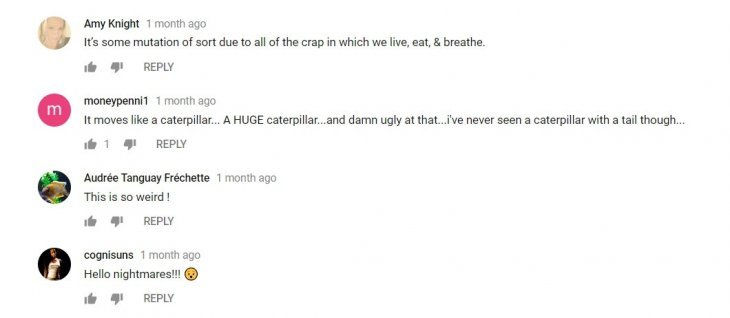 Source : YouTube News Confused