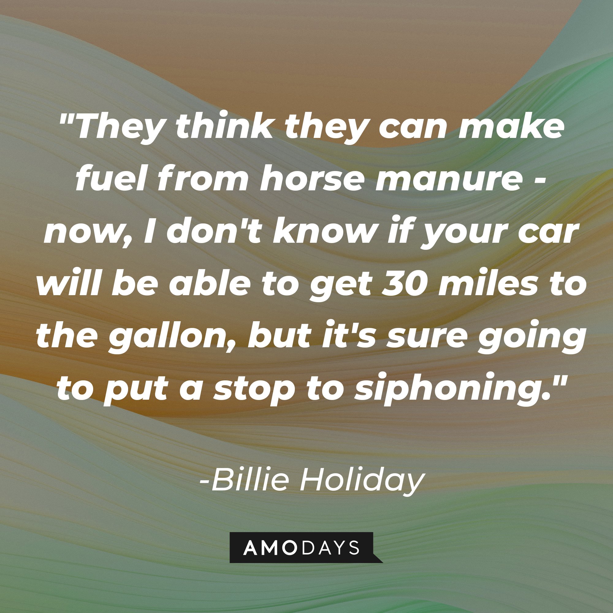 Billie Holiday's quote "They think they can make fuel from horse manure - now, I don't know if your car will be able to get 30 miles to the gallon, but it's sure going to put a stop to siphoning." | Source: Unsplash.com
