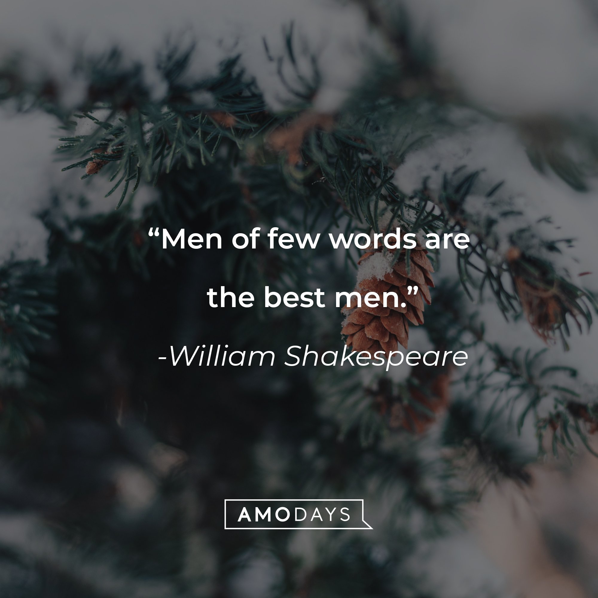 William Shakespeare's quote: “Men of few words are the best men.” | Image: AmoDays