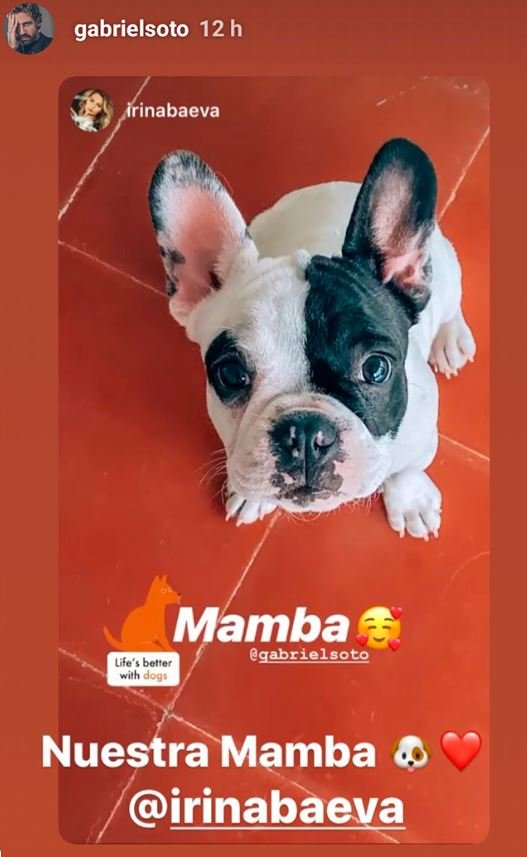 La pequeña Mamba. | Captura de Instagram/gabrielsoto