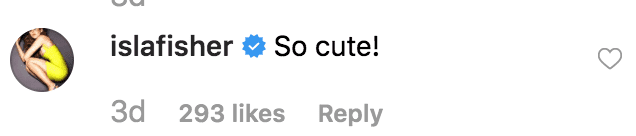 Isla Fisher's comment on Nicole Kidman's post. | Source: Instagram/NicoleKidman