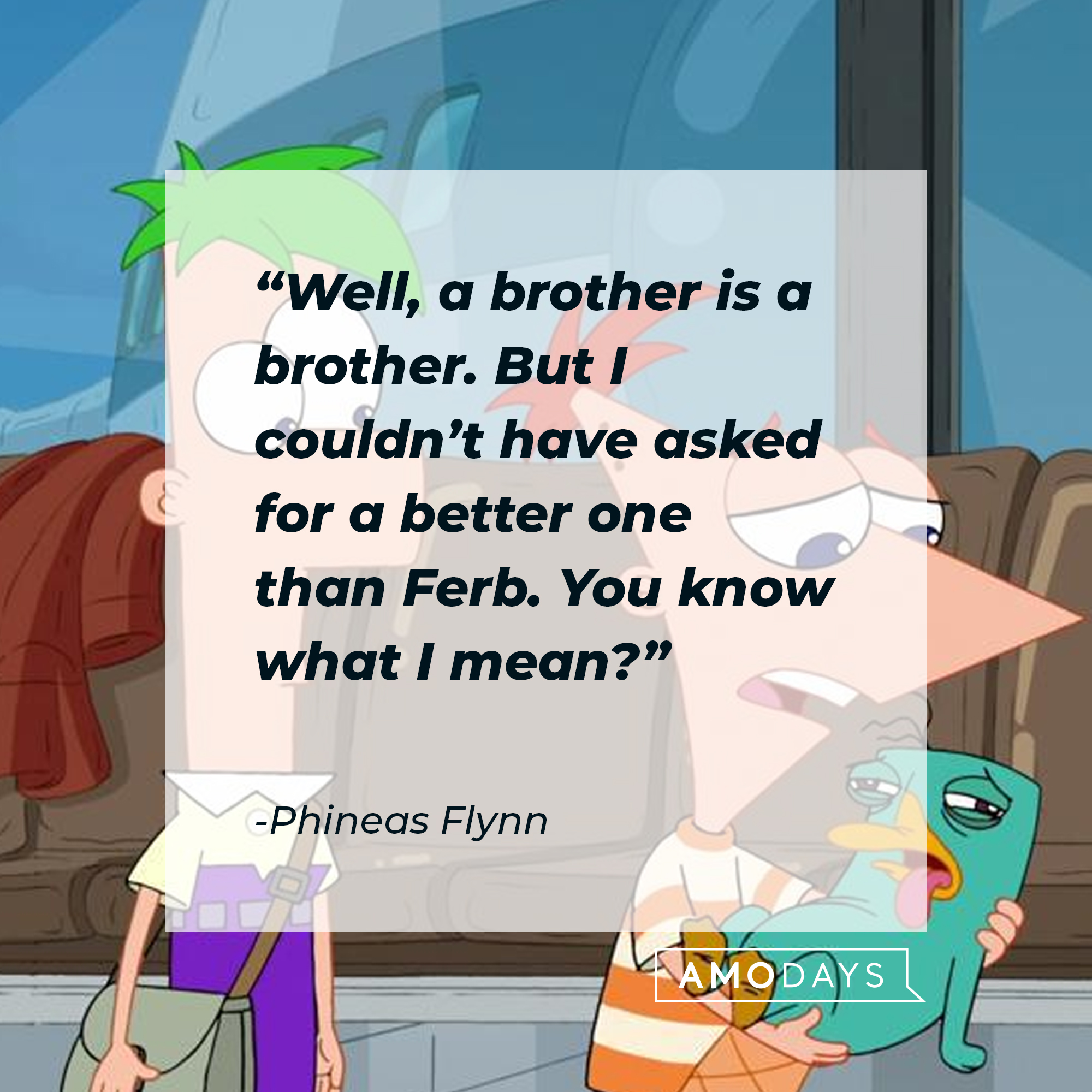 Phineas Flynn's quote: "Well, a brother is a brother. But I couldn't have asked for a better one than Ferb. You know what I mean?" | Source: facebook.com/Phineas-and-Ferb