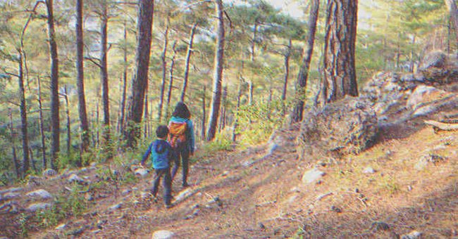 Katherine was alarmed to see two kids wandering the forest alone. | Source: Imagebb