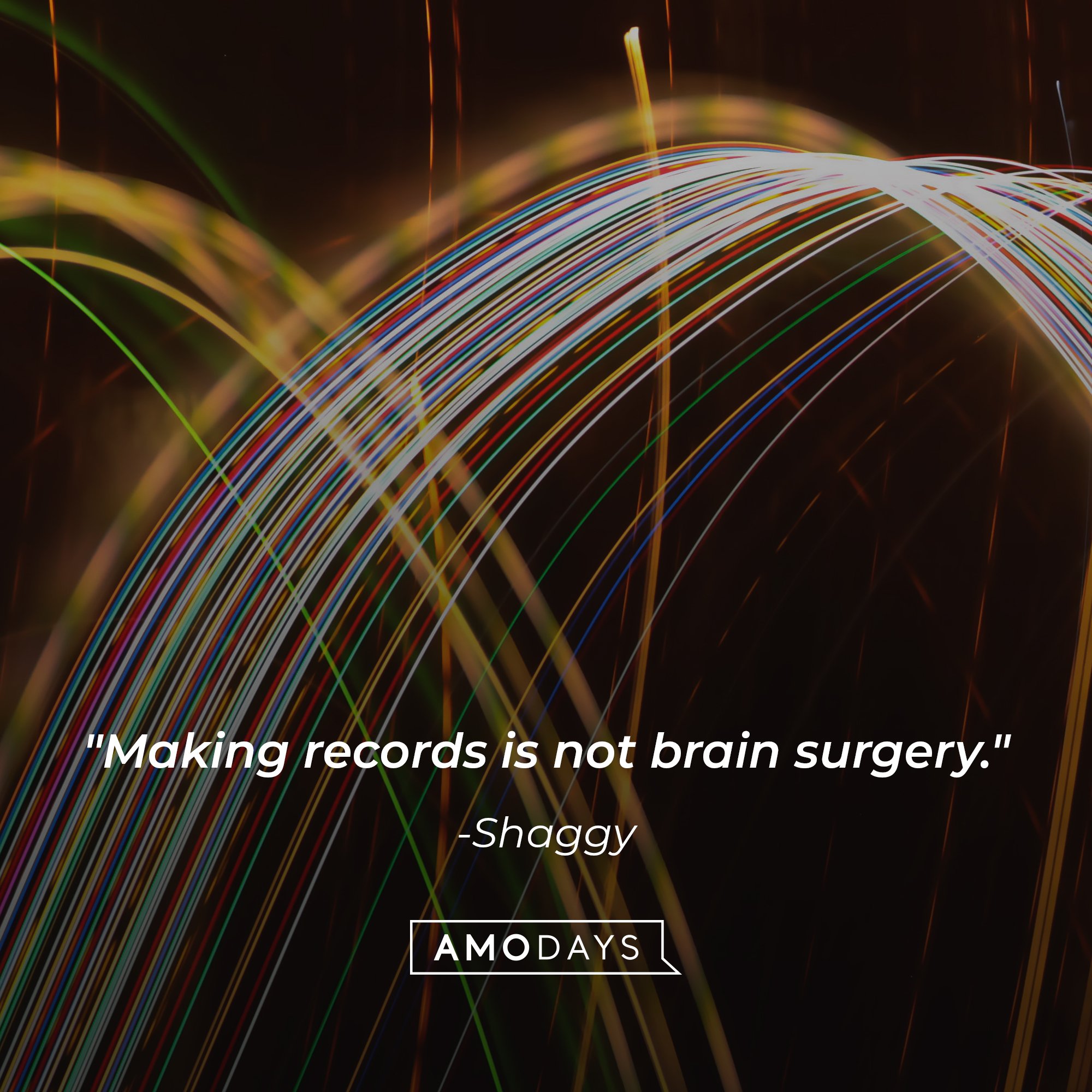 Shaggy's quote: "Making records is not brain surgery." | Image: AmoDays