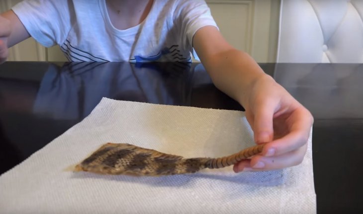 Source: YouTube / 'What's Inside?' Source: YouTube / 'What's Inside?'
