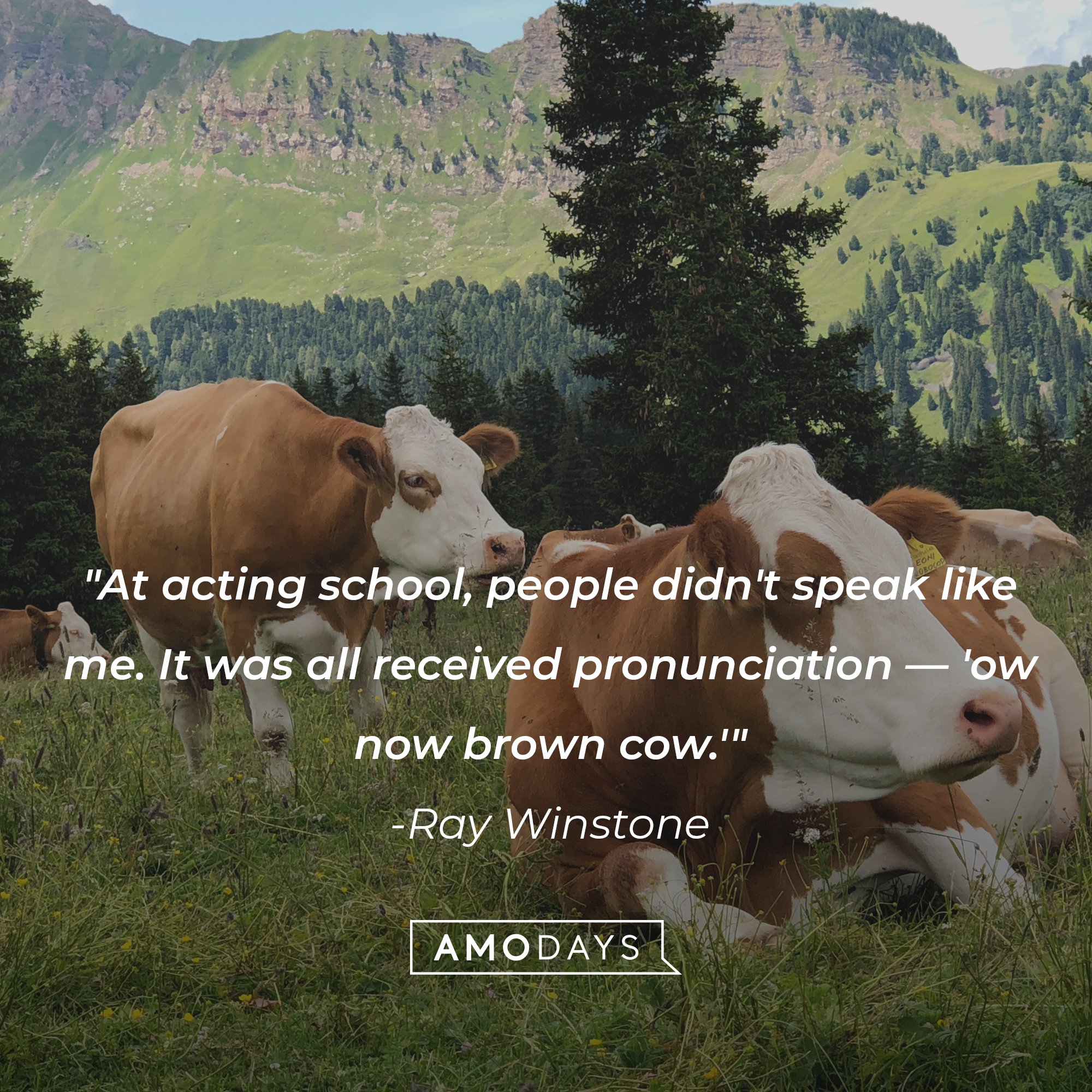  Ray Winstone’s quote: "At acting school, people didn't speak like me. It was all received pronunciation —'ow now brown cow.'" | Image: AmoDays