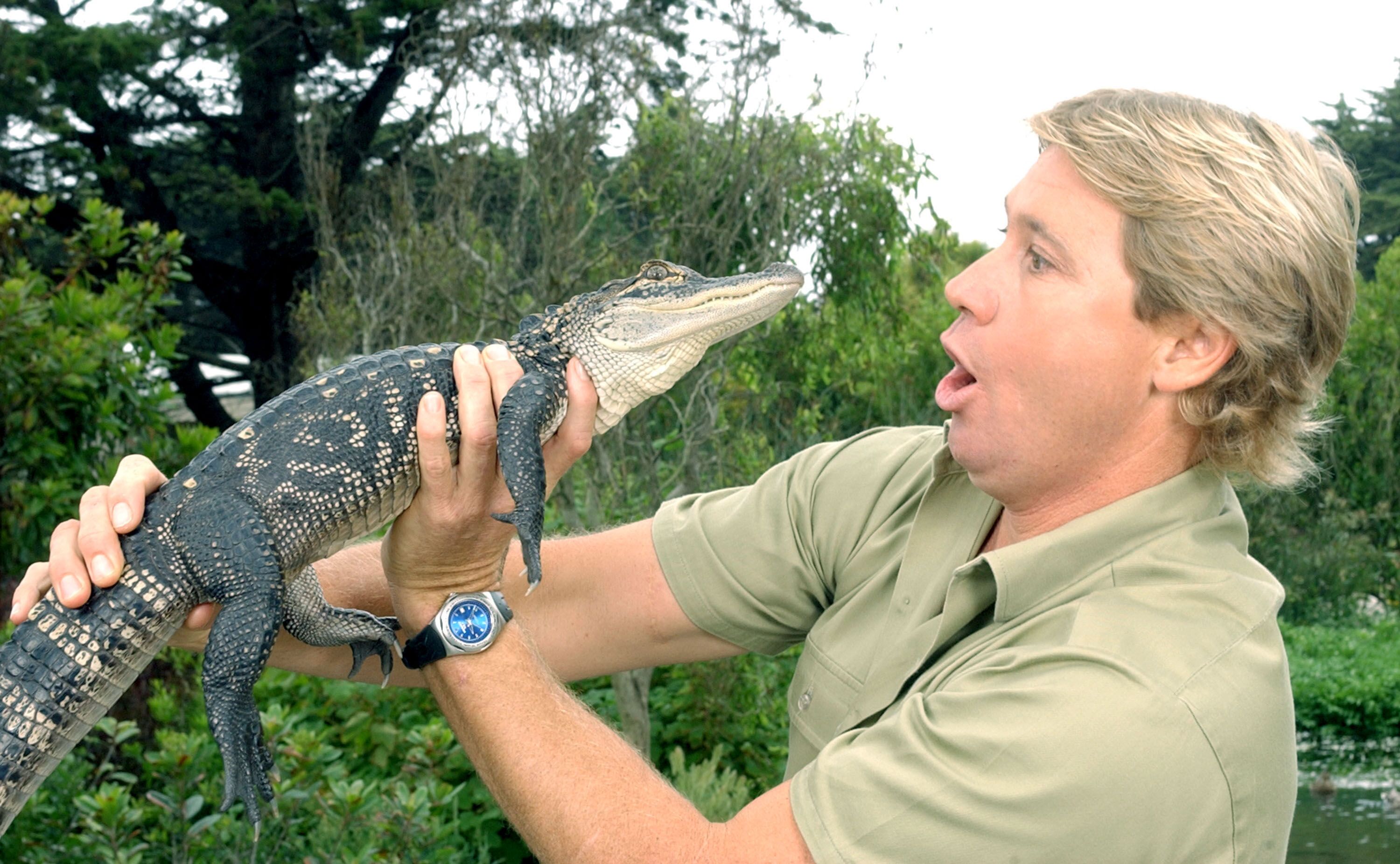 "The Crocodile Hunter", Steve Irwin, poses with a three foot long alligator at the San Francisco Zoo in 2002 | Source: Getty Images