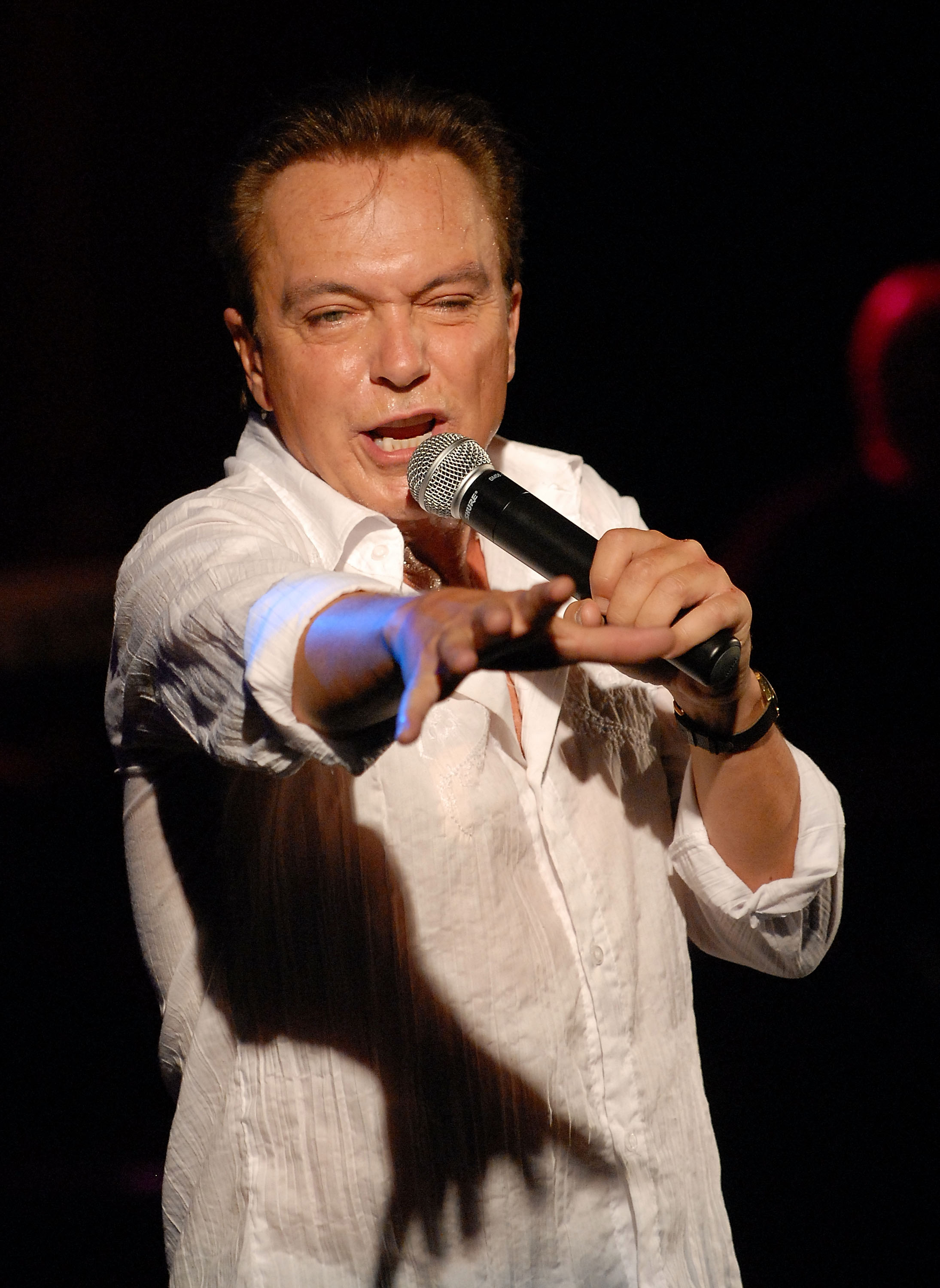 David Cassidy perfoms at the "The Ultimate Idols" concert with Davy Jones at St. George Theatre on September 13, 2008 in Staten Island, New York. | Source: Getty Images