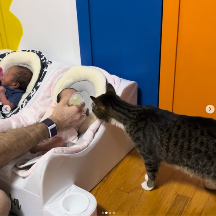 A photo of Brandon feeding his daughter Maya, while his cat seemingly inspects the feeding time closely, posted in June 2024, posted in June 2024 | Source: Instagram/gabby3shabby