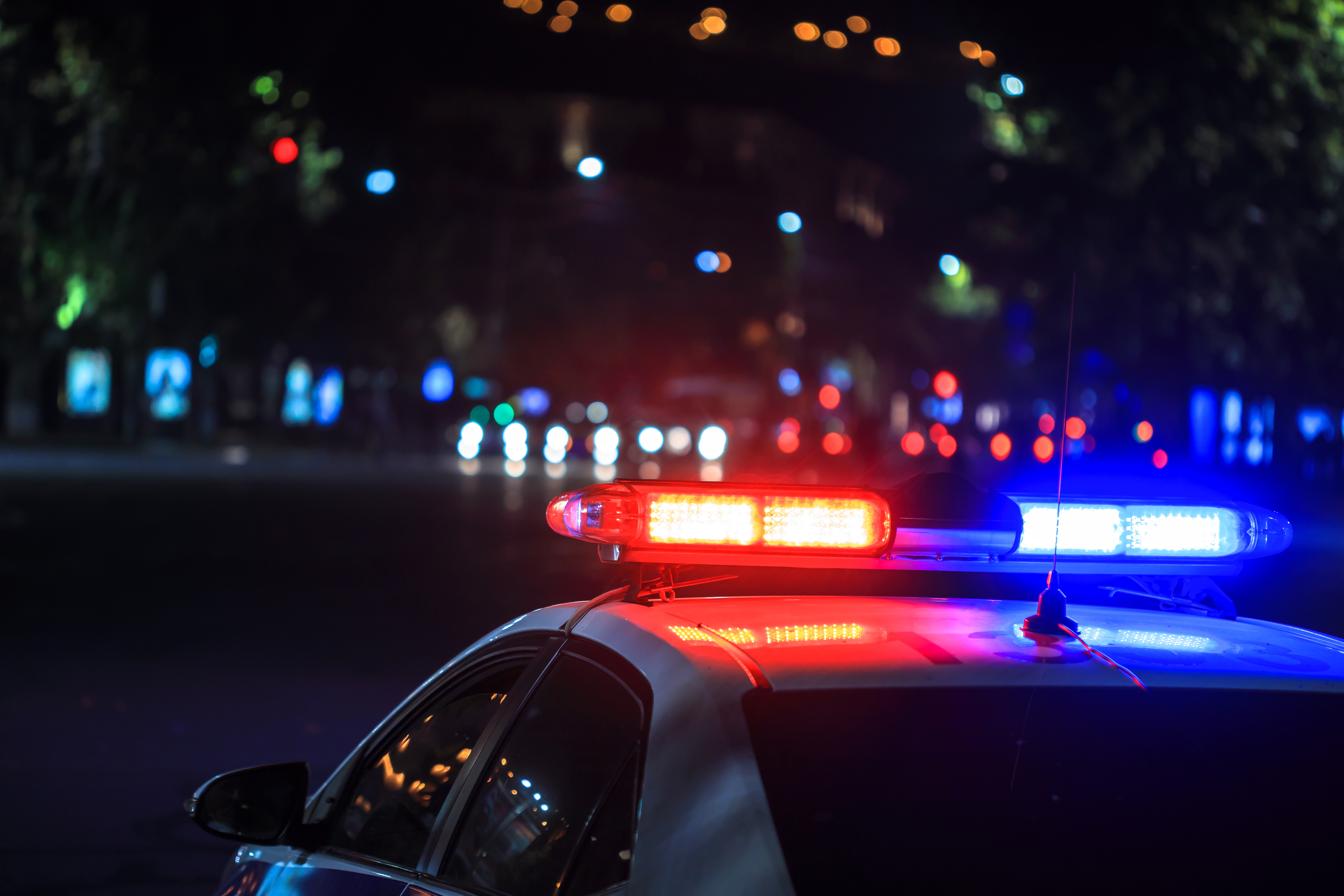Police car | Source: Shutterstock