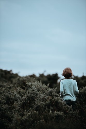 Un petit garçon dans la forêt. | Photo : Unsplash