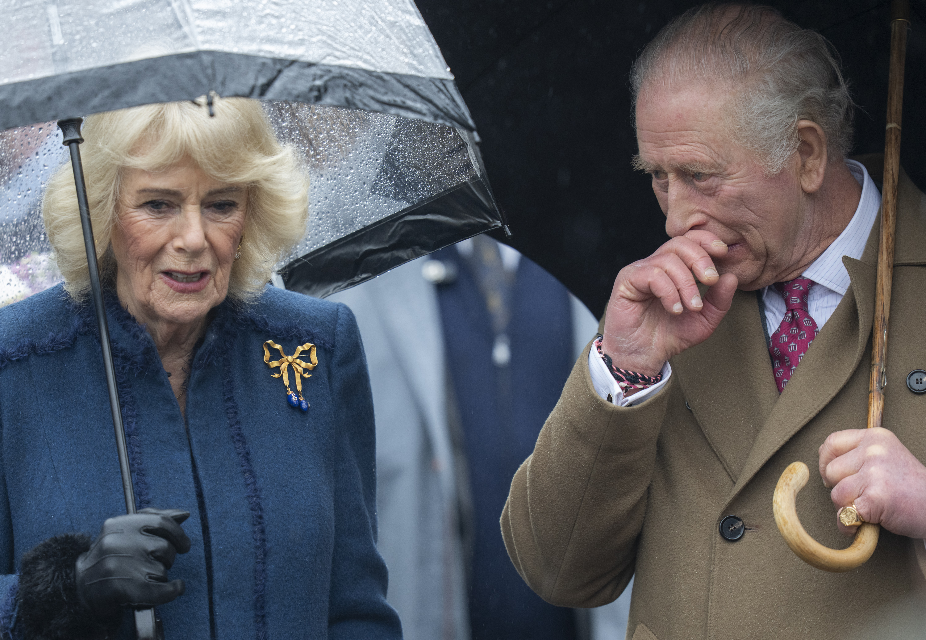 Queen Camilla and King Charles III meeting members of the public during a walkabout on February 5, 2026, in Dedham, Essex, England. | Source: Getty Images