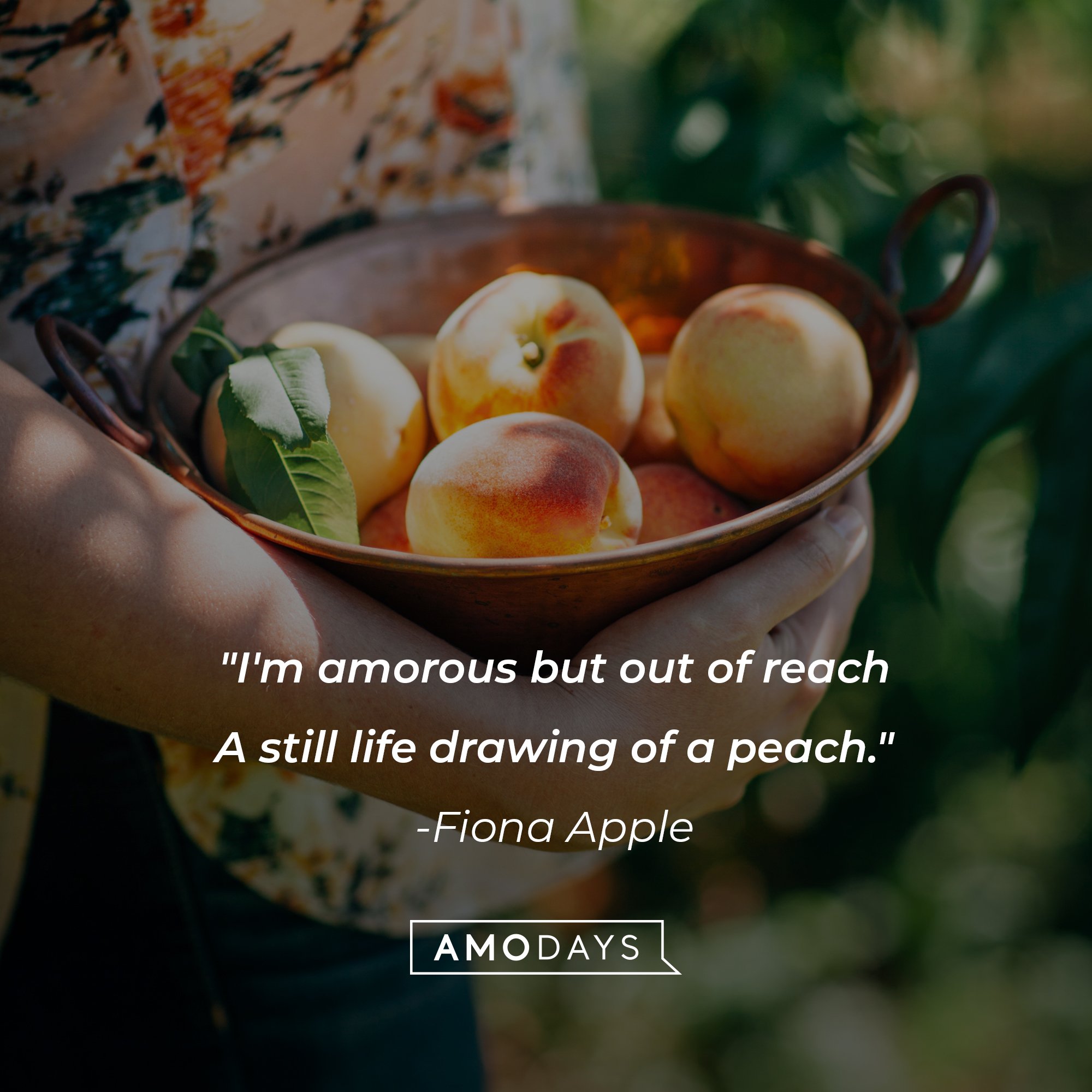 Fiona Apple's quote: "I'm amorous but out of reach / A still life drawing of a peach." | Image: AmoDays