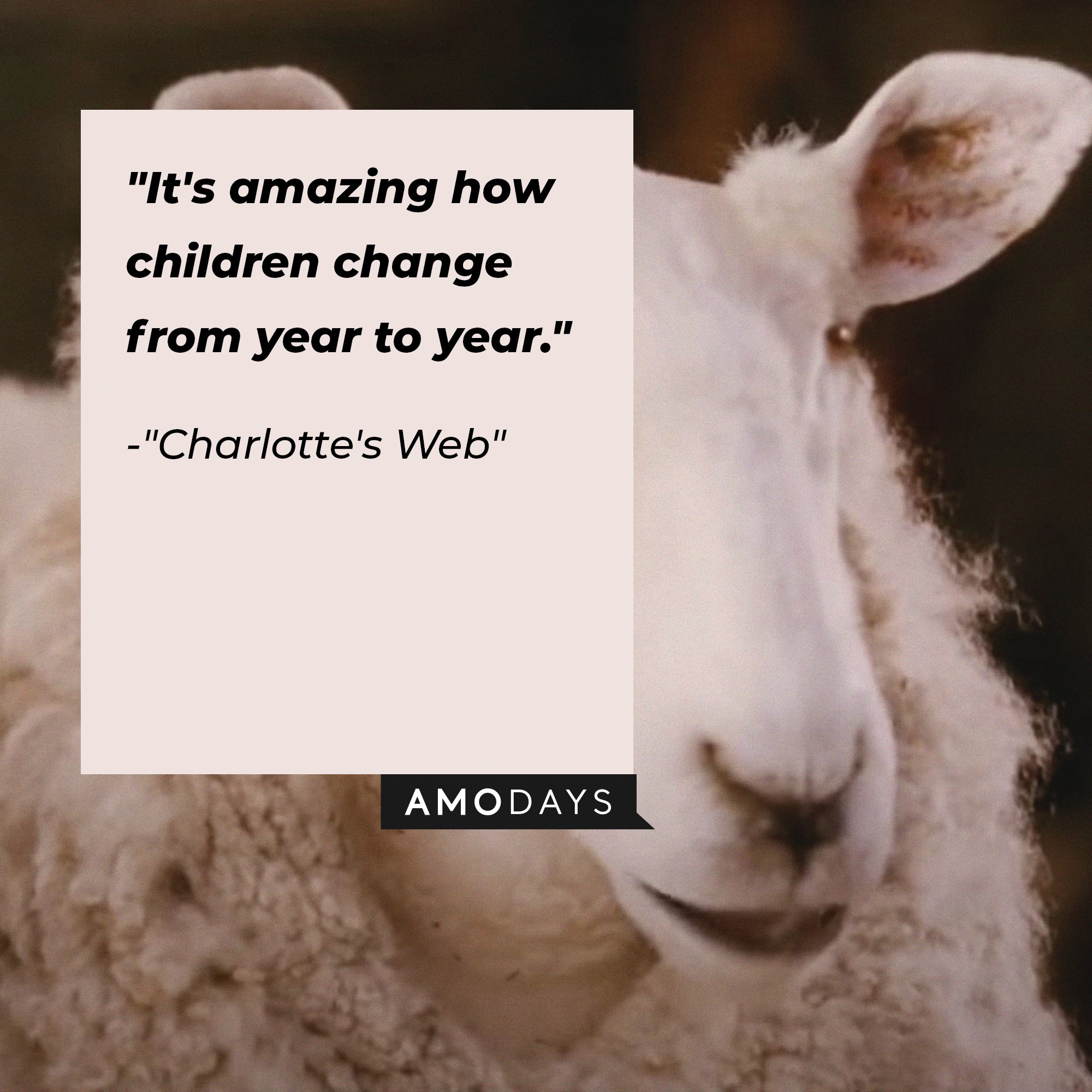Charlotte's Web quote: "It's amazing how children change from year to year." | Image: AmoDays