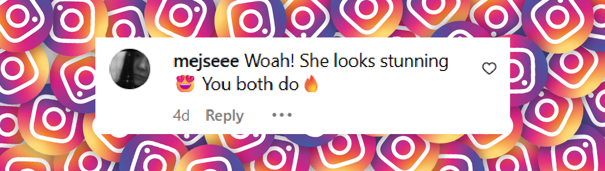 A fan comment under Elizabeth Hurley's post, shared on July 31, 2025. | Source: Instagram/elizabethhurley1