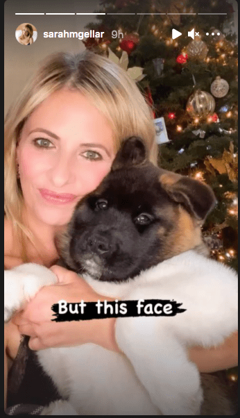 Sarah Michelle Gellar holding one of the Akita puppies the family adopted as a Christmas present in 2020. | Source: Instagram/sarahmichellegellar.