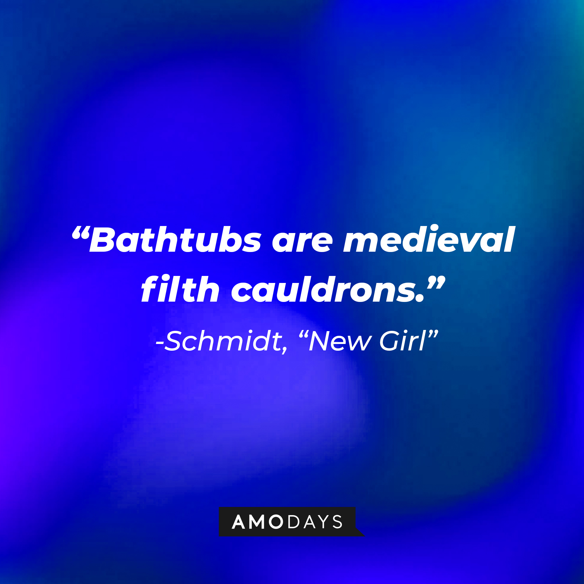 Schmidt's quote: "Bathtubs are medieval filth cauldrons." | Source: Amodays