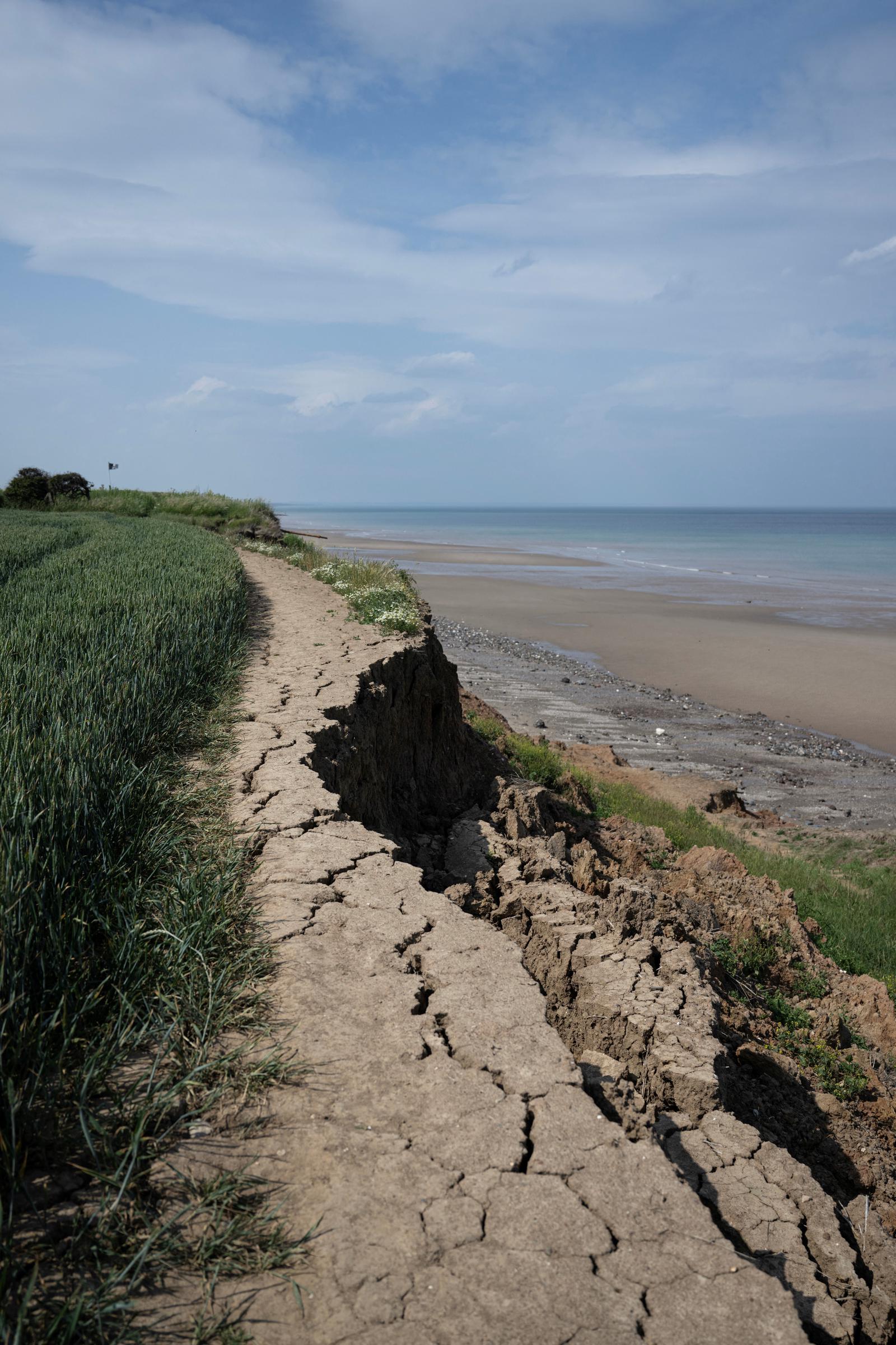 An arable field adjacent to a cliff top experiencing intense coastal erosion near Hornsea in the East Riding of Yorkshire, England, photographed on June 17, 2025. | Source: Getty Images