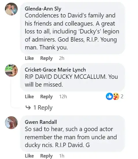 Fans write condolences after David McCallum’s death, dated September 25, 2023, on Facebook. | Source: Facebook/ NCISverse