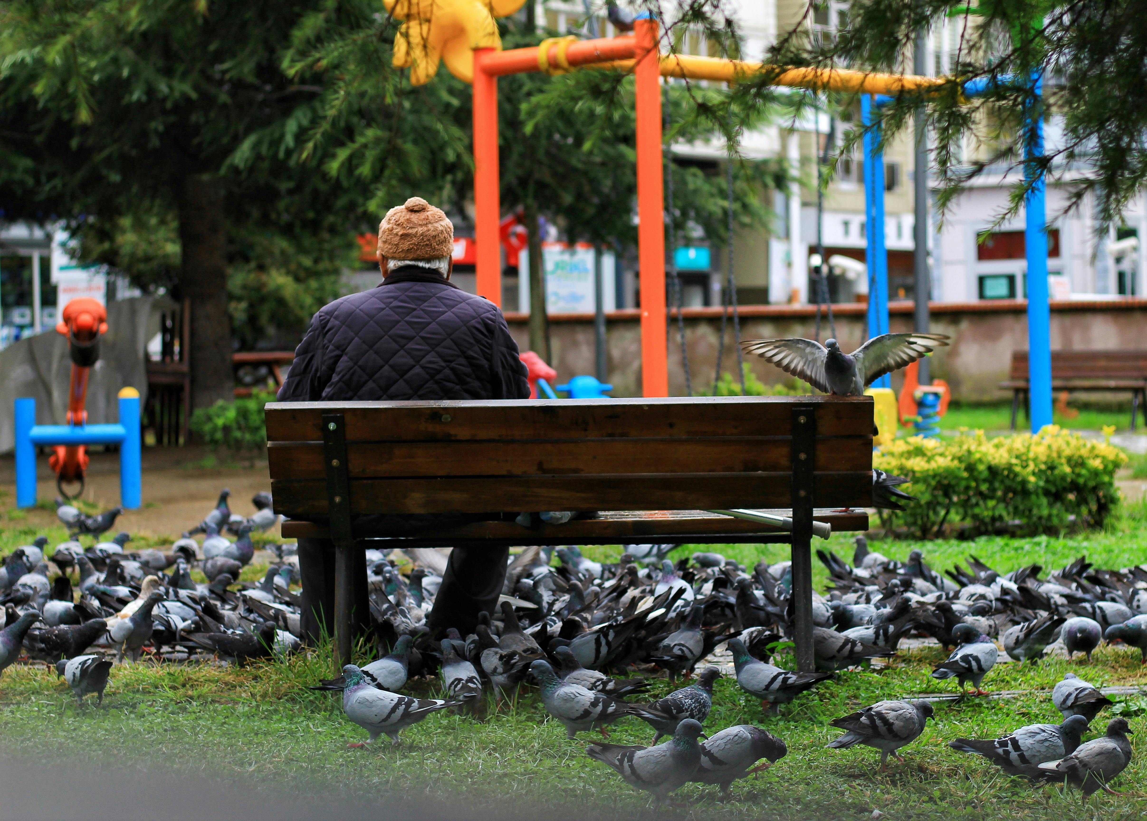 Man sitting on a bench in a park | Source: Pexels