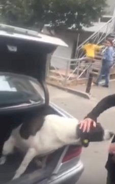 Quelle: YouTube/Viral Hog