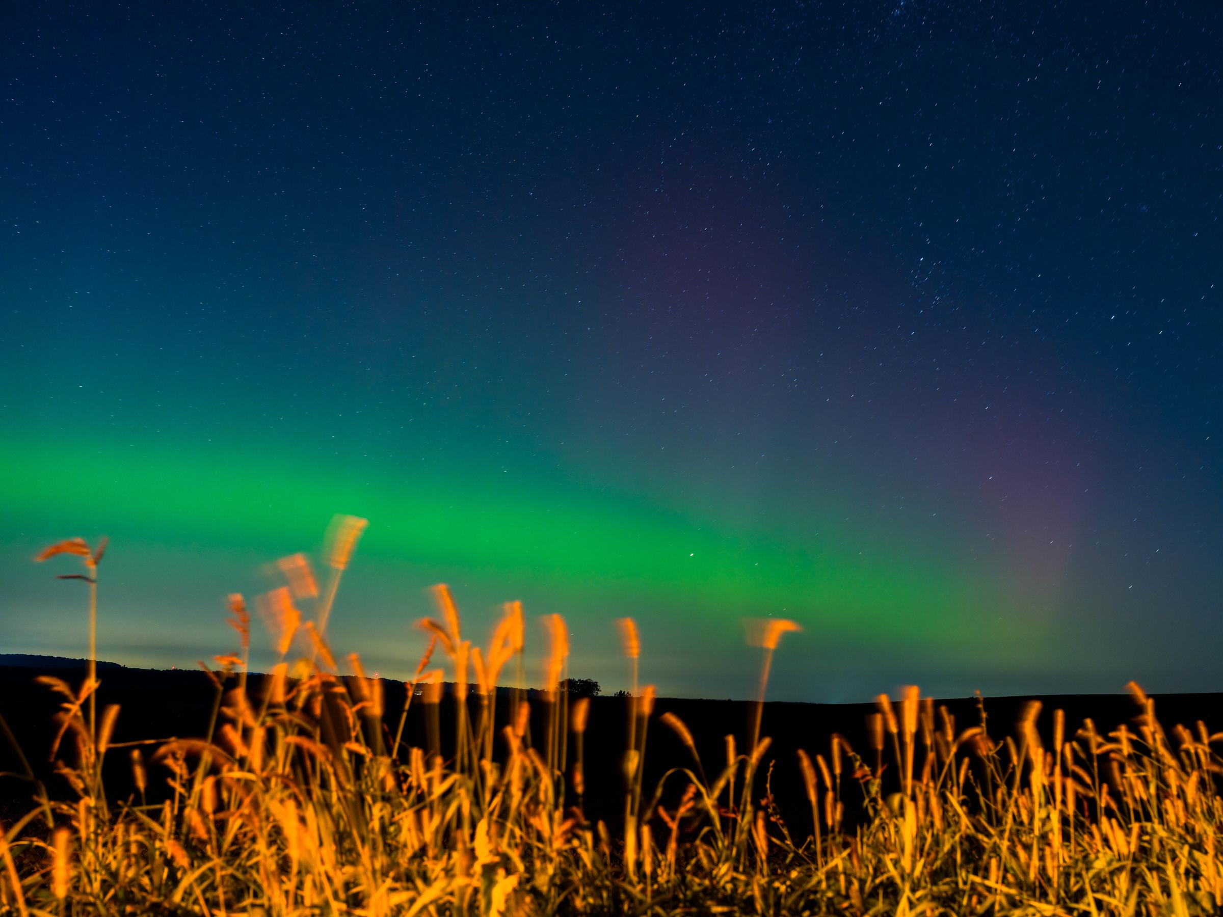 The aurora borealis glows in shades of green, pink, and purple above farmland during a rare appearance in rural southern Wisconsin in Monroe, Wisconsin, on September 14, 2025 | Source: Getty Images