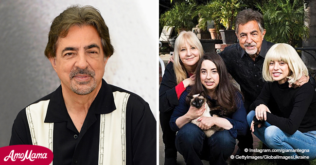 Meet ‘Criminal Minds’ Joe Mantegna’s Beautiful Wife Of 43 Years And ...