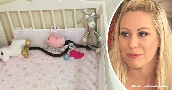 Mother finds venomous snake inside baby daughter's crib