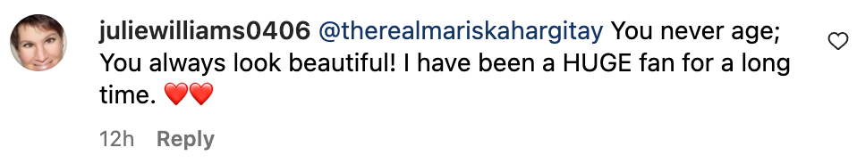 User comment on Mariska Hargitay's Instagram post | Source: instagram.com/therealmariskahargitay