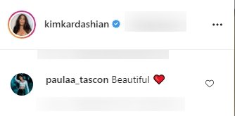 A fan's comment on Kim Kardashian's Instagram photo of her kids | Photo: Instagram.com/Kimkardashian