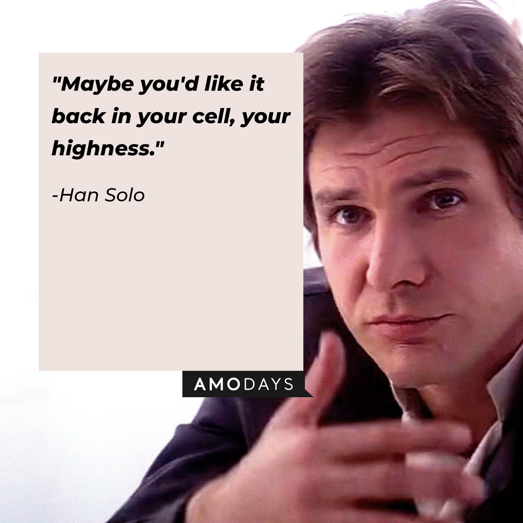 Han Solo’s quote: "Maybe you'd like it back in your cell, your highness." | Image: AmoDays