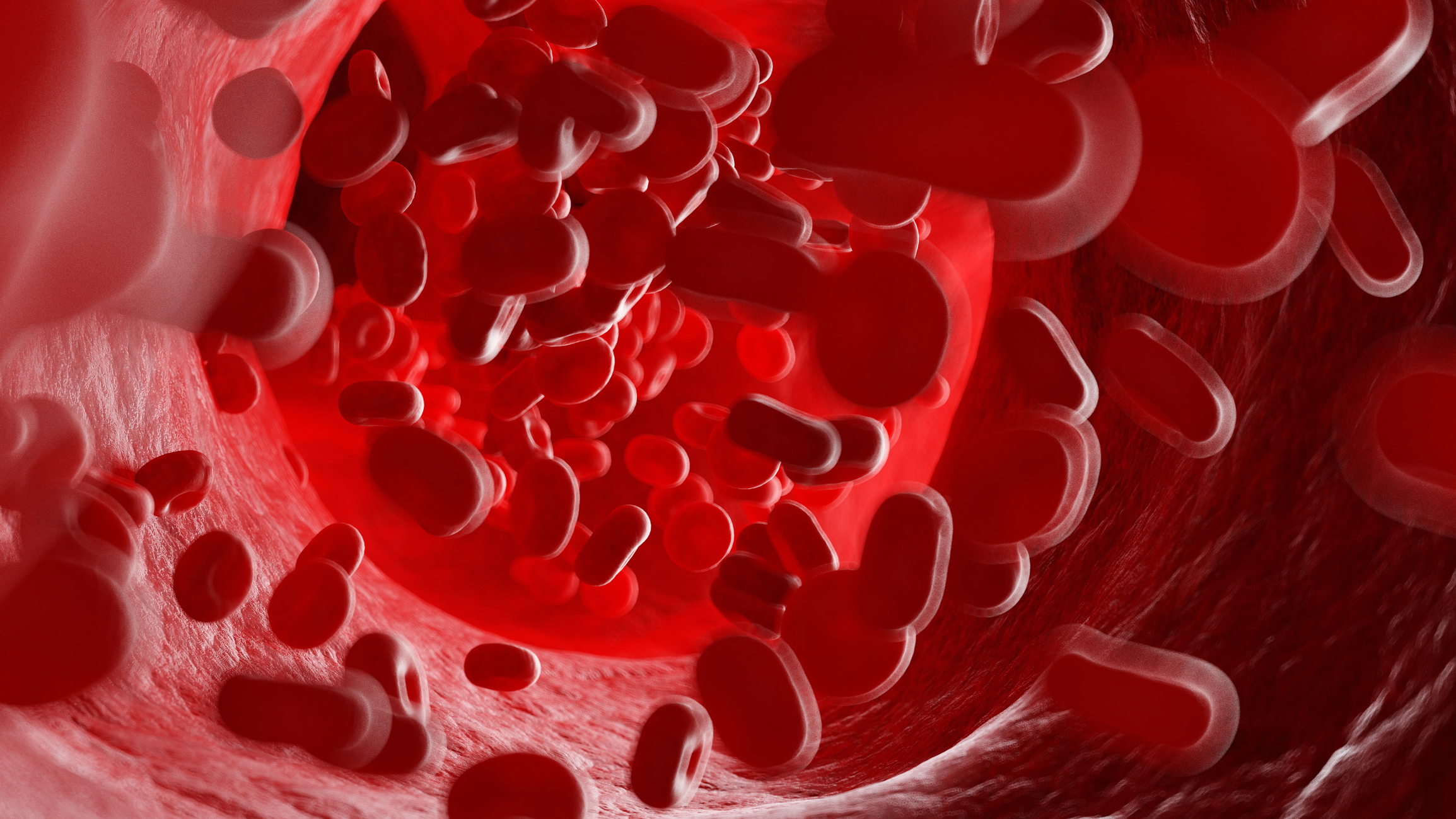 An illustration of human blood cells | Source: Getty Images