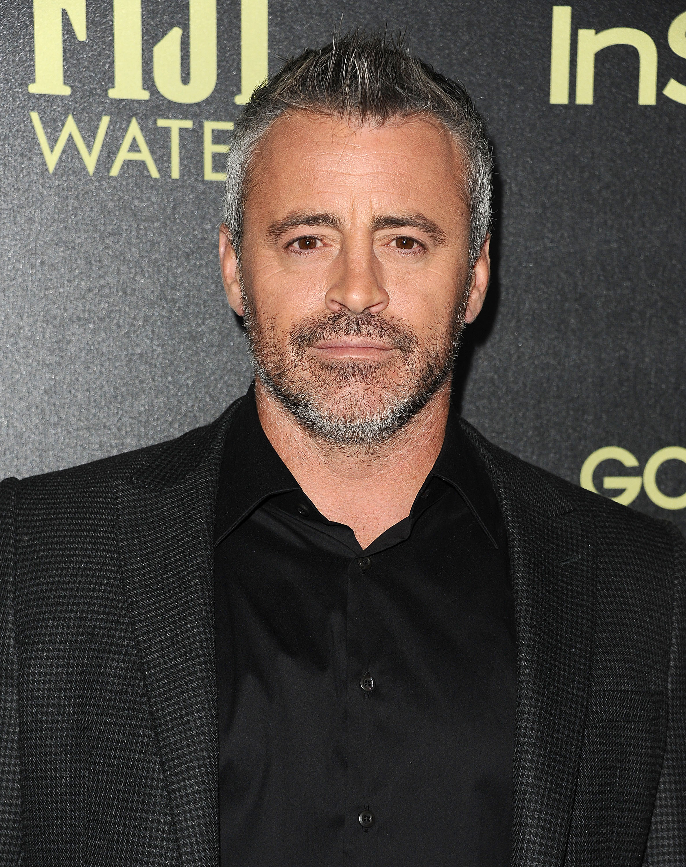 Matt LeBlanc at the Hollywood Foreign Press Association and InStyle's celebration of the 2016 Golden Globe Award season on November 17, 2015, in West Hollywood, California. | Source: Getty Images