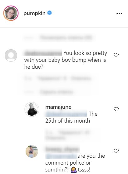 Comments from fans on Lauryn "Pumpkin" Shannon's post on Instagram | Photo: Instagram/pumpkin