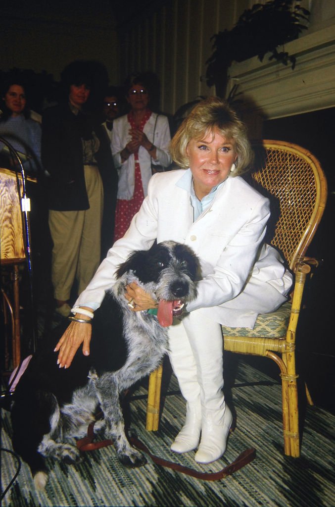 Doris Day with one of her dogs at a press conference in California on July 16, 1985 | Photo: Getty Images