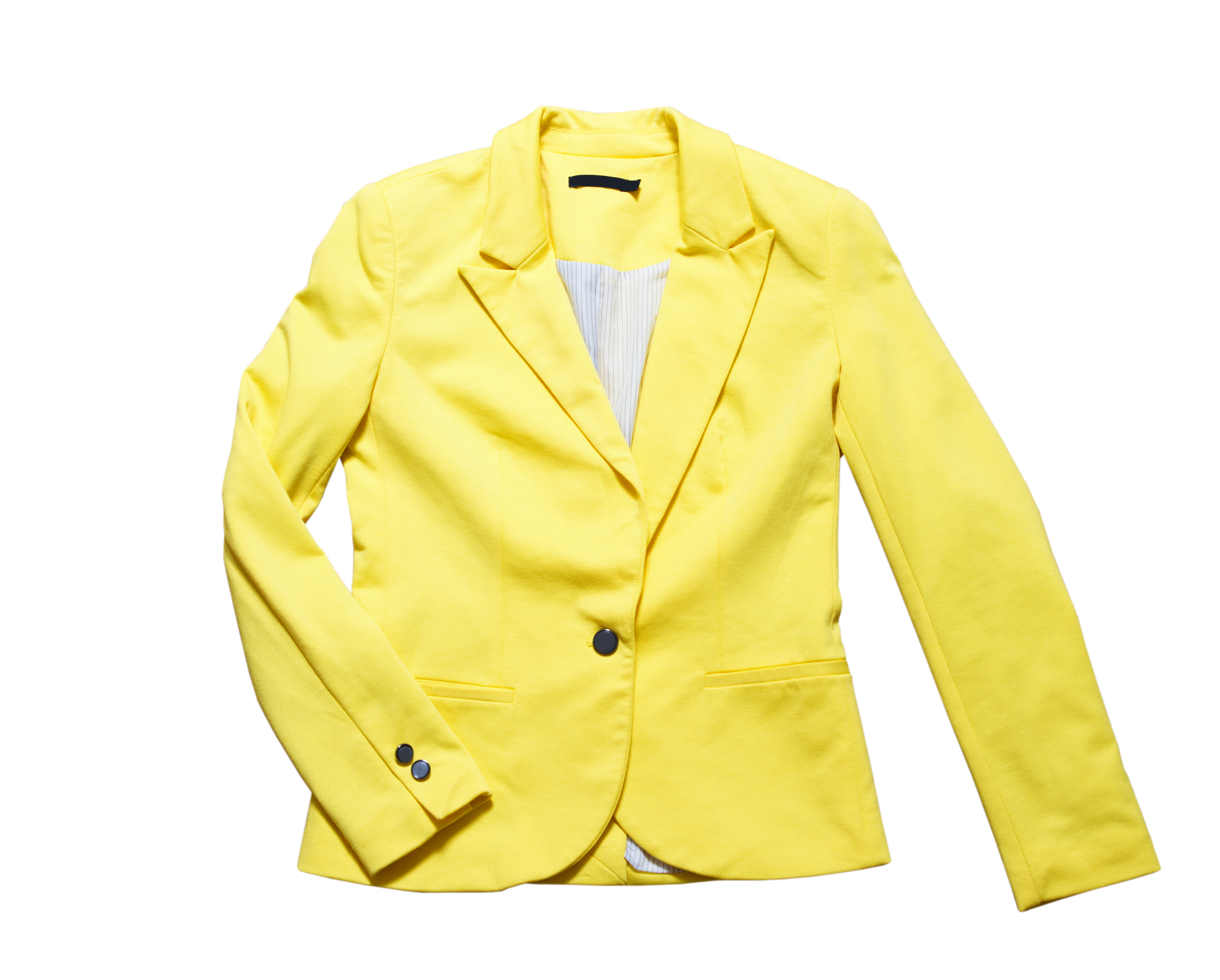 A classic yellow jacket | Source: Shutterstock
