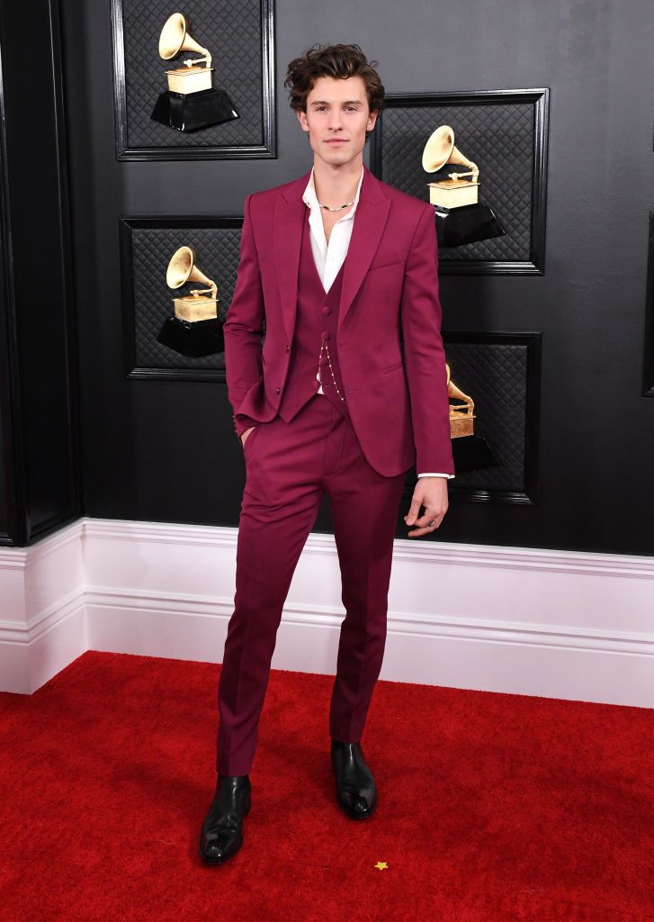 Shawn Mendes at the 62nd Annual Grammy Awards at Staples Center on January 26, 2020, in Los Angeles, California | Photo: Jon Kopaloff/FilmMagic/Getty Images