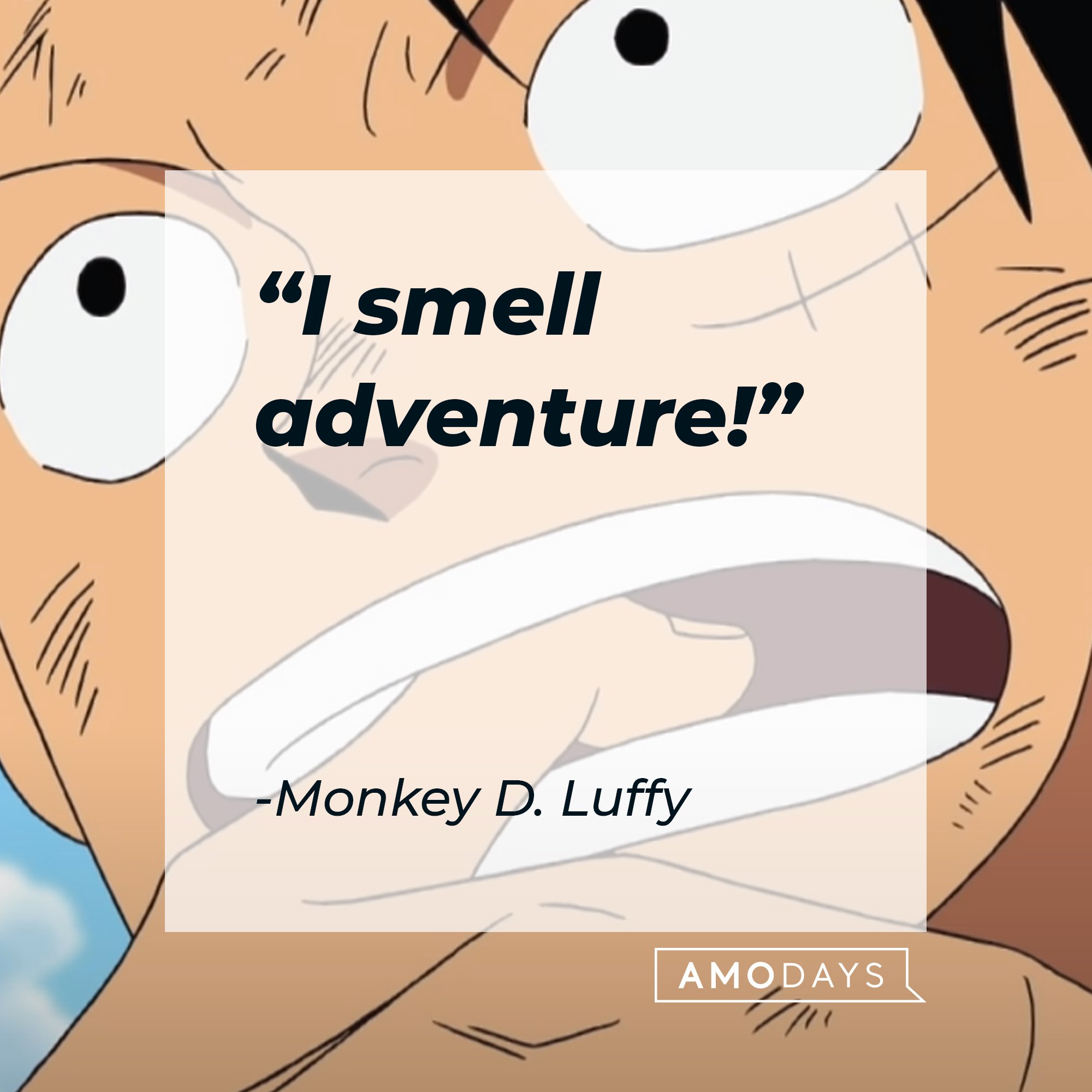 Monkey D. Luffy's quote: "I smell adventure!" |  Image: AmoDays