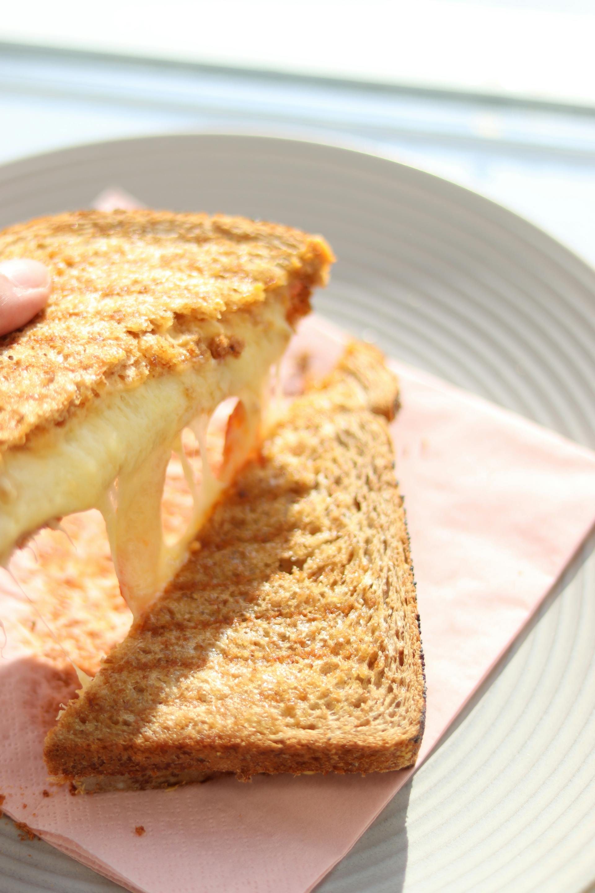 A toasted cheese sandwich | Source: Pexels